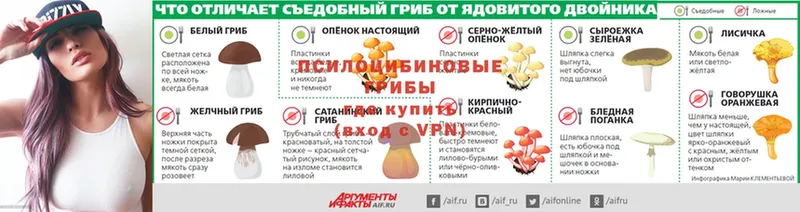 продажа наркотиков  Когалым  Псилоцибиновые грибы MAGIC MUSHROOMS 